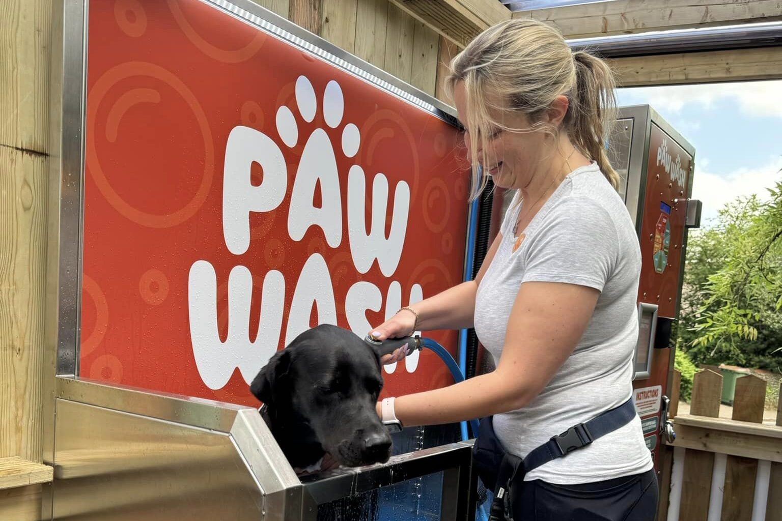 Paw Wash erika - The Shed