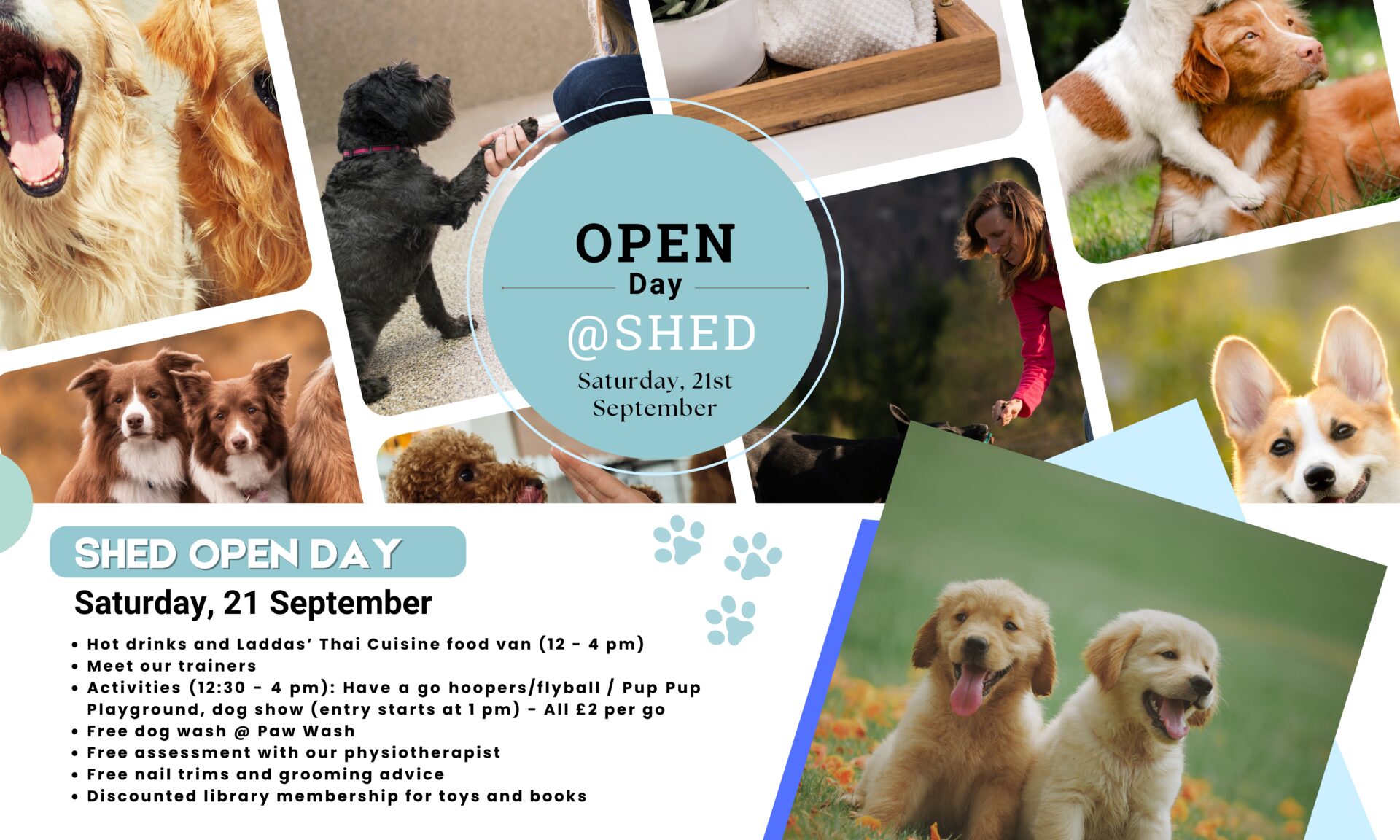 The Shed - Open Day